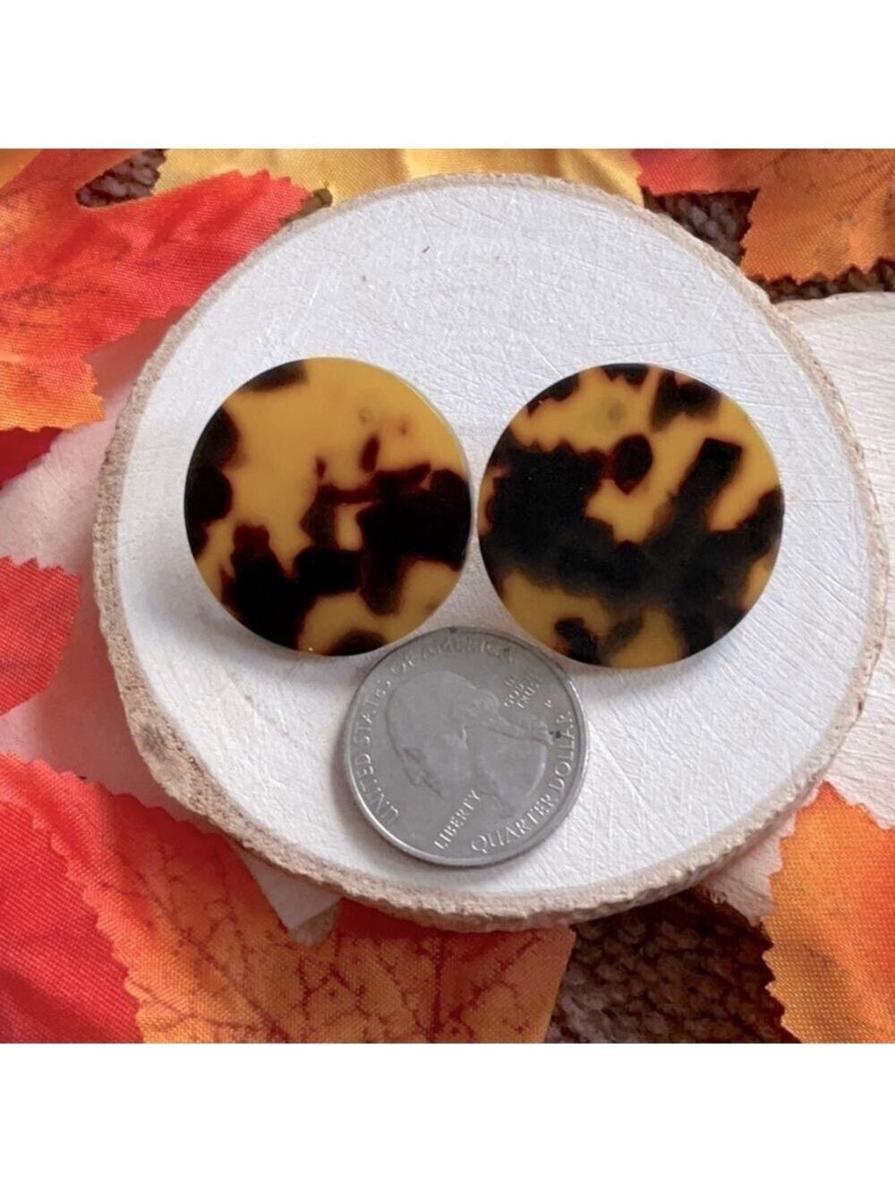 Tortus Shell Round Earrings - Picture 3 of 3